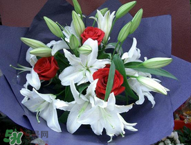 百合花多少錢一支2017？百合花多少錢一束2017？