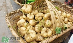 土瓜怎么做好吃？土瓜的做法大全