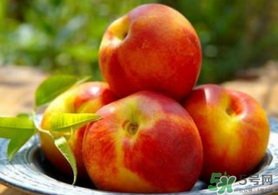 油桃小孩可以吃嗎？寶寶能不能吃油桃？