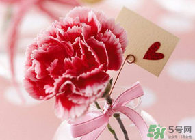 康乃馨可以放臥室嗎？康乃馨能放在臥室嗎？