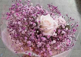 母親節(jié)可以送滿天星嗎？母親節(jié)能送滿天星嗎？