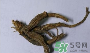 土瓜根是什么？土瓜根粉哪里有賣的？