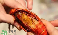 周黑鴨小龍蝦怎么吃？周黑鴨小龍蝦怎么吃圖解？