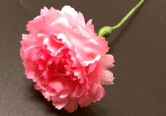 母親節(jié)可以送紙做的康乃馨嗎？康乃馨怎么折？
