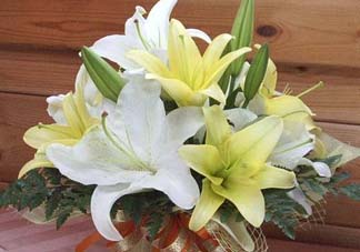 百合花多少錢一支2017？百合花多少錢一束2017？