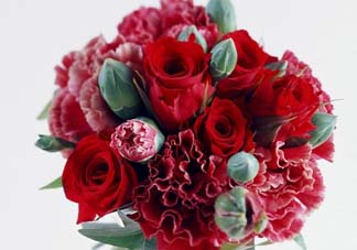 母親節(jié)送什么顏色的康乃馨？2017年母親節(jié)康乃馨推薦