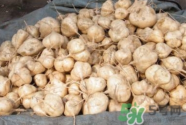 土瓜是涼性還是熱性？土瓜是寒性還是熱性？