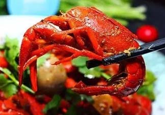 周黑鴨小龍蝦怎么吃？周黑鴨小龍蝦怎么吃圖解？