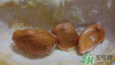 榴蓮核能種嗎？榴蓮核怎么種盆栽？