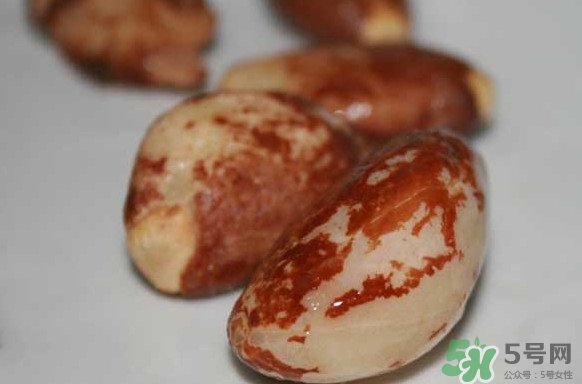 榴蓮核能種嗎？榴蓮核怎么種盆栽？