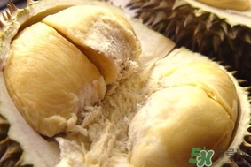 榴蓮樹幾年結(jié)果？榴蓮皮有什么用