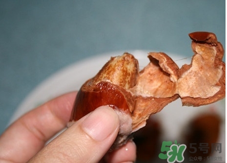 榴蓮核能吃嗎？榴蓮核怎么吃