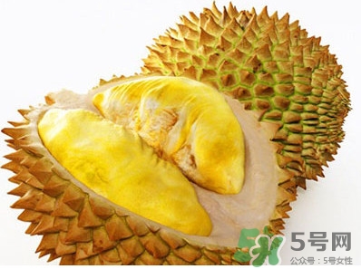 榴蓮核能種嗎？榴蓮核怎么種盆栽？