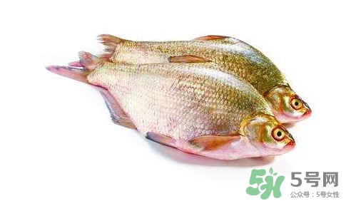 鳊魚(yú)怎么做好吃？鳊魚(yú)怎么燒好吃