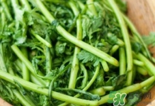 吃蓬花菜有什么好處?蓬花菜的功效與作用 吃蓬花菜有什么好處?蓬花菜的功效與作用