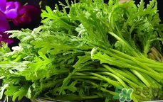 蓬花菜可以生吃嗎?蓬花菜能生吃嗎? 蓬花菜可以生吃嗎?蓬花菜能生吃嗎?