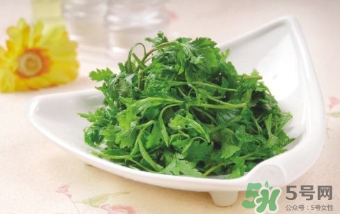 菊花腦就是菊花嗎？菊花腦怎么吃