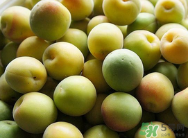 梅子不能和什么一起吃？梅子和什么食物都相克？