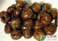 馬蹄孕婦能吃嗎？孕婦能不能吃馬蹄