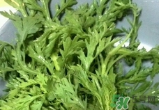 蓬花菜怎么吃最好?蓬花菜怎么做好吃? 蓬花菜怎么吃最好?蓬花菜怎么做好吃?