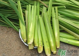 茭白能放冰箱嗎？茭白可以放冰箱多久