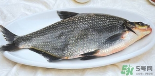 鳊魚(yú)怎么做好吃？鳊魚(yú)怎么燒好吃