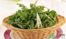 菊花腦是發(fā)物嗎？菊花腦是不是發(fā)物