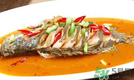 鱖魚(yú)怎么做好吃？鱖魚(yú)怎么做給寶寶吃