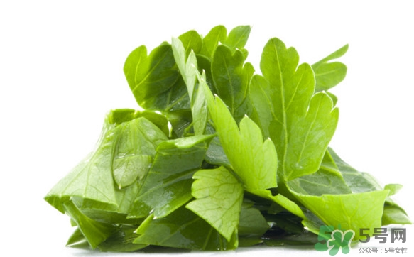 菊花腦有什么好處？菊花腦的功效與作用