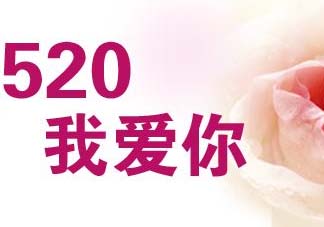 520和521是什么意思？520和521哪個(gè)更好？