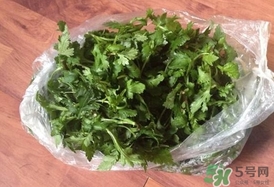 菊花腦怎么做好吃？菊花腦怎么做有營(yíng)養(yǎng)