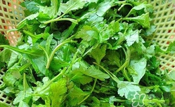 菊花腦怎么做好吃？菊花腦怎么做有營(yíng)養(yǎng)