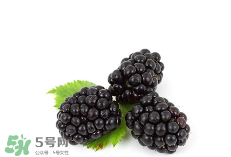 覆盆子的熱量高嗎？覆盆子可以減肥嗎？