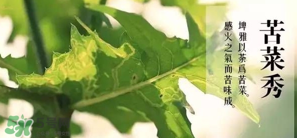 2017小滿是幾月幾日？小滿節(jié)氣養(yǎng)生