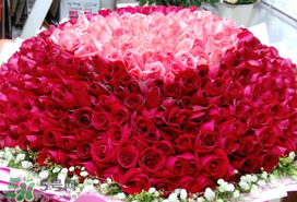 2017年520送什么花好？適合520送給女朋友的花推薦