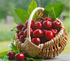 ?五月份還有櫻桃嗎？?五月份的櫻桃能吃嗎？