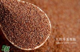 海藻面膜要泡多久最好？海藻面膜要泡多長(zhǎng)時(shí)間？