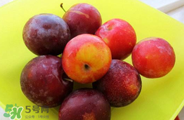 李子可以和西紅柿一起吃嗎？西紅柿和李子能同吃？