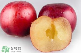 李子可以和西紅柿一起吃嗎？西紅柿和李子能同吃？