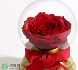 野獸派水晶球多少錢？野獸派水晶球音樂盒價格