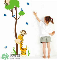 給孩子補(bǔ)鈣可以長高嗎？身高跟補(bǔ)鈣有沒有直接關(guān)系？