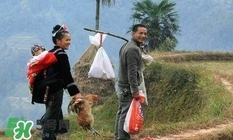 端午出嫁女兒能回娘家嗎？端陽(yáng)節(jié)能在娘家過(guò)嗎？