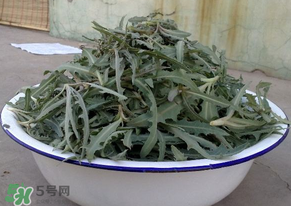 苦苦菜怎么腌制？怎樣腌制苦苦菜？