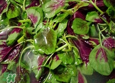 漢菜是發(fā)物嗎?漢菜是不是發(fā)物? 漢菜是發(fā)物嗎?漢菜是不是發(fā)物?