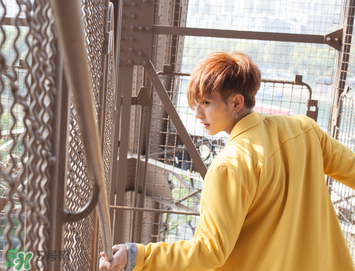 劉洲成老婆發(fā)離婚聲明 劉洲成家暴他老婆嗎？