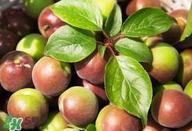 青梅可以減肥嗎？青梅減肥效果好嗎？