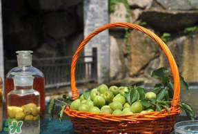 青梅可以直接吃嗎？剛摘下的青梅可以直接吃嗎?？