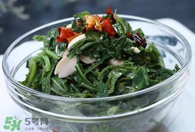 苦菜怎么保存？苦菜怎么保存時間長？