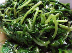 苦菜可以曬干嗎？苦菜怎么曬干？