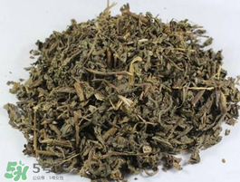 苦菜可以曬干嗎？苦菜怎么曬干？